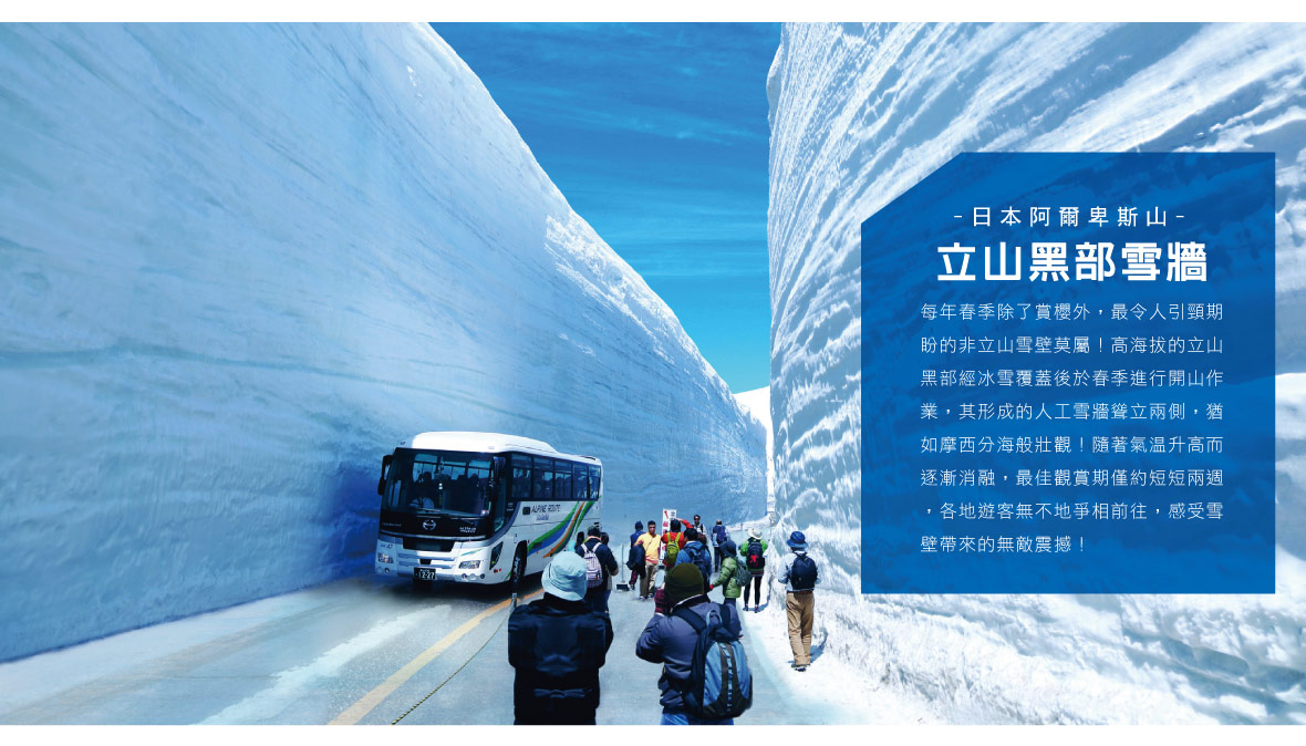 立山黑部高聳雪牆與行駛其中的巴士