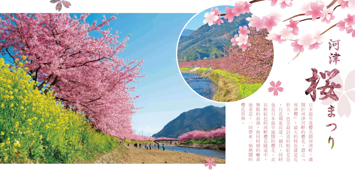 河津櫻與河岸油菜花