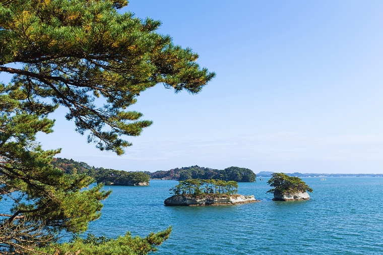 松島灣藍色海面與散落的小島松樹