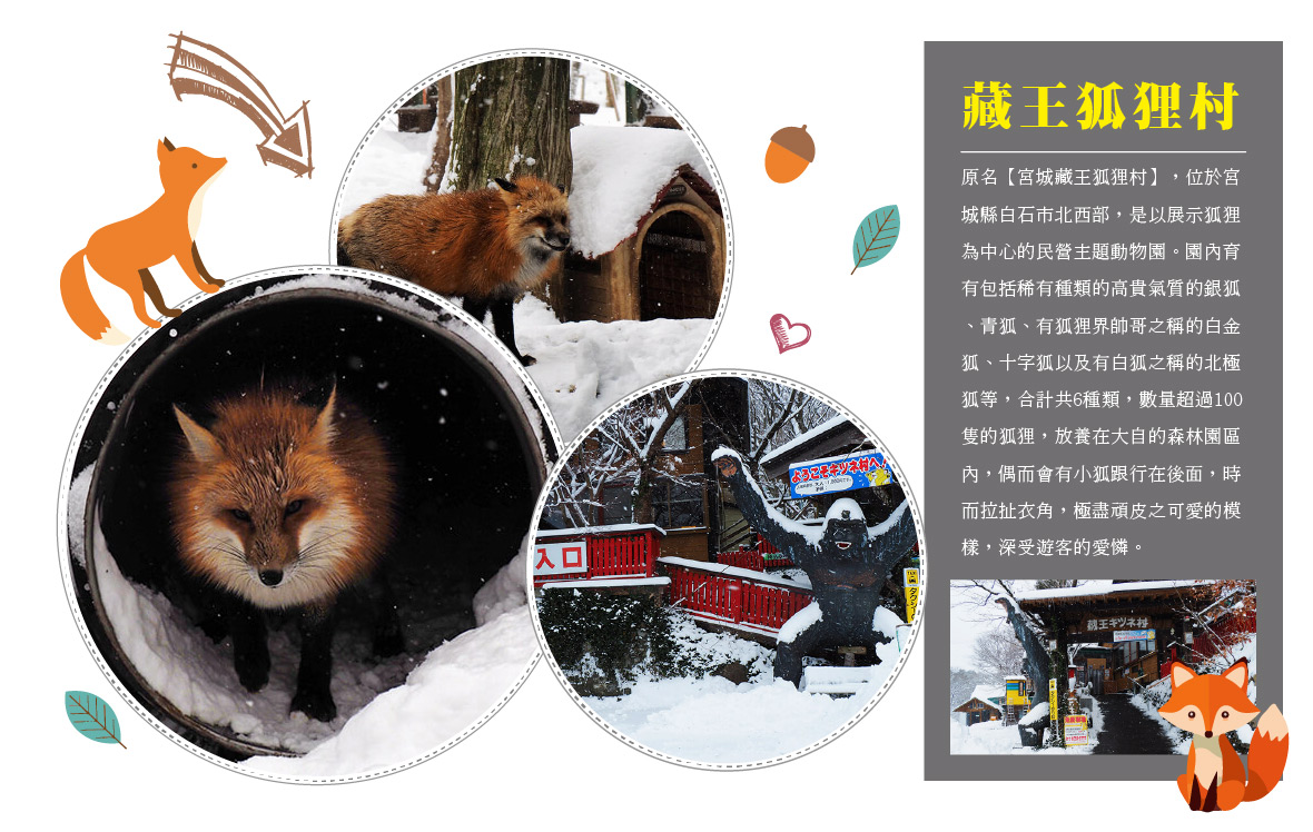 雪地裡的藏王狐狸村