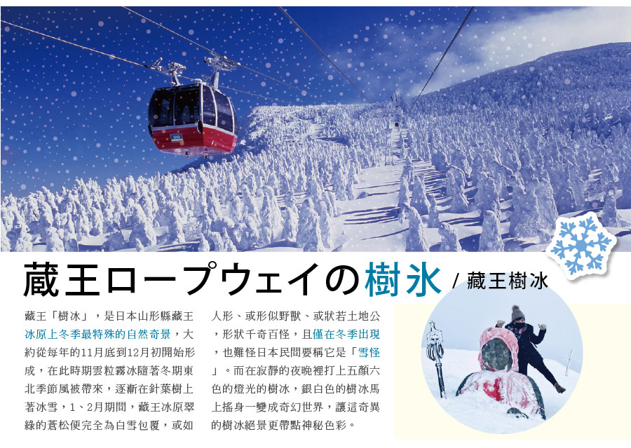 藏王纜車與樹冰雪景